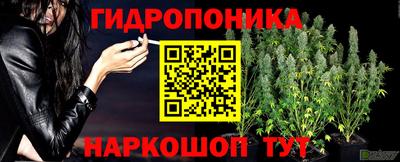 твердый Гусев