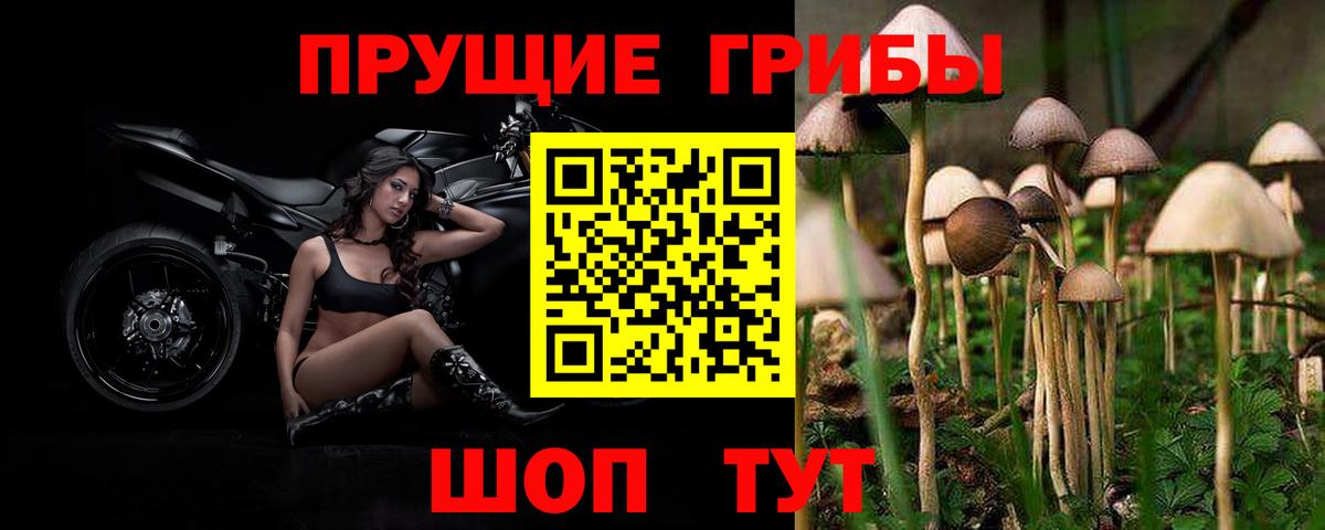Псилоцибиновые грибы Magic Shrooms  Галлюциногенные грибы MAGIC MUSHROOMS  Вход с VPN  Кольчугино 